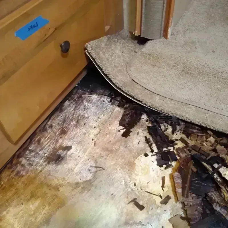 Wood Floor Water Damage in Neodesha, KS